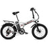 Electric Bike for Adults,750W Folding Electric Bike with 48V 13Ah Removable Battery