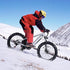 PEXMOR Electric Bike for Adults, 750W Ebike Electric Bicycle for Adults 48V 14AH Removable LG Battery