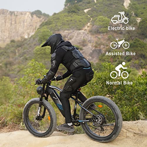 Electric Bike, FREESKY 750W Electric Bike for Adults BAFANG Motor 48V 15Ah