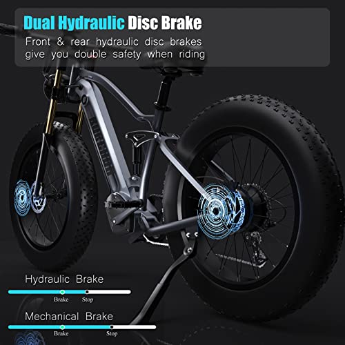DAMSON Electric Bike 1000W 48V 20AH/17.5AH Removable Battery Mountain Electric Bicycle