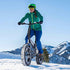 AVANTREK Cybertrack 200 Electric Bike Foldable 20"x4" Fat Tire Electric Bicycle