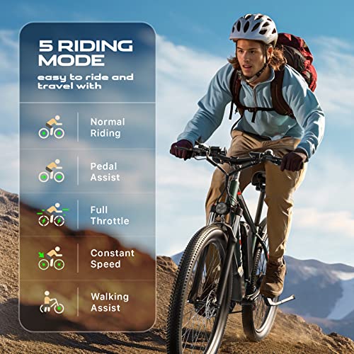 Electric Mountain Bike 29'' 750W 48V 15Ah Battery Removable E Bicycle
