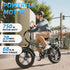 Rattan 750W LM/LF Pro Electric Bike for Adults 20" x 4.0 Fat Tire Electric Bicycles