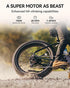 Heybike Brawn 750W Electric Bike for Adults,28MPH 26'' Fat Tire Ebike