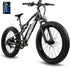 ReAspire Electric Bike 750W BAFANG Motor Ebike 24 MPH 40 Miles Range