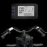 JANSNO Electric Bike 20" x 4.0 Electric Bike for Adults with 750W Brushless Motor
